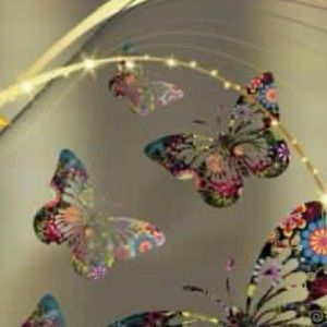 Meet your Posher, Ana